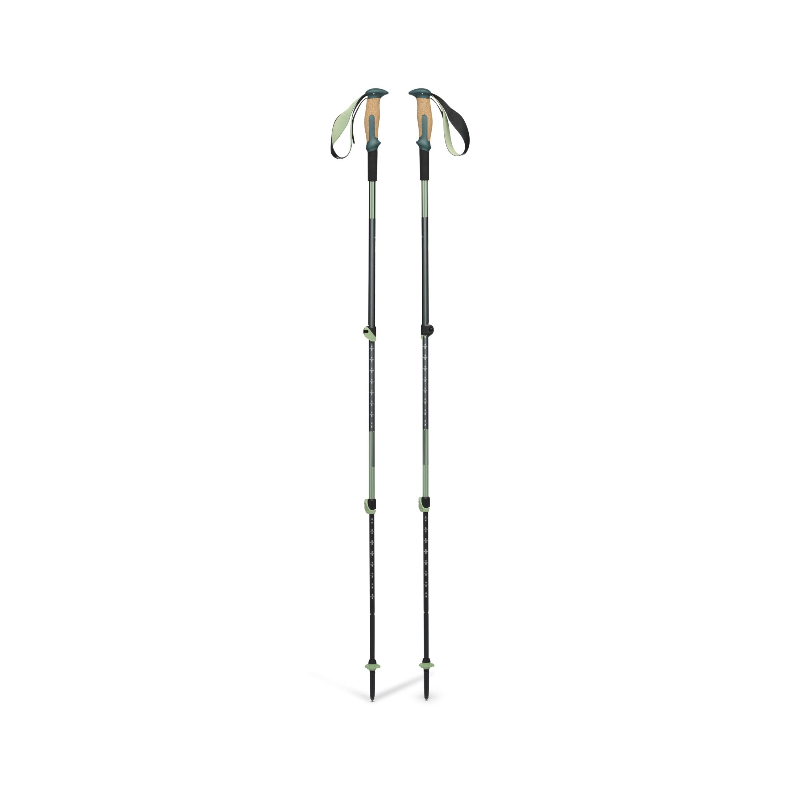 112561_3062_Trail_Vista_Shock_Trekking_Poles_Deep_Woods_01